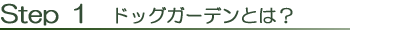 Step1 ドッグガーデンとは