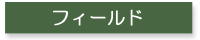 フィールド