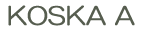 BIGBOXシリーズ KOSKA A